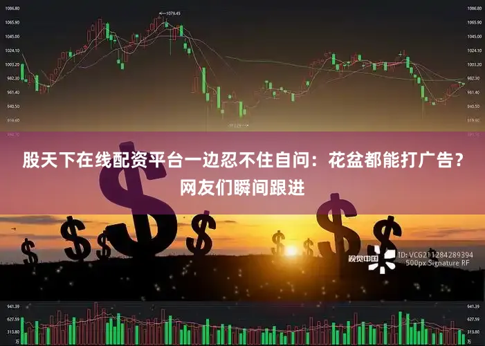 股天下在线配资平台一边忍不住自问：花盆都能打广告？网友们瞬间跟进